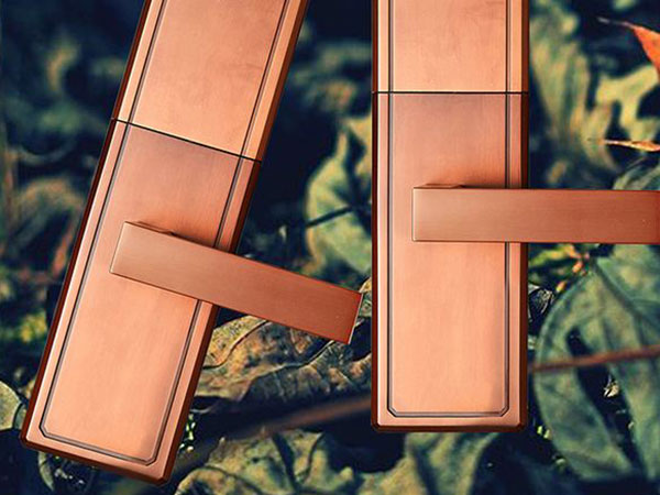 瑞安24小时上门开锁公司